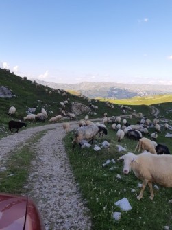 etno_kamp_28